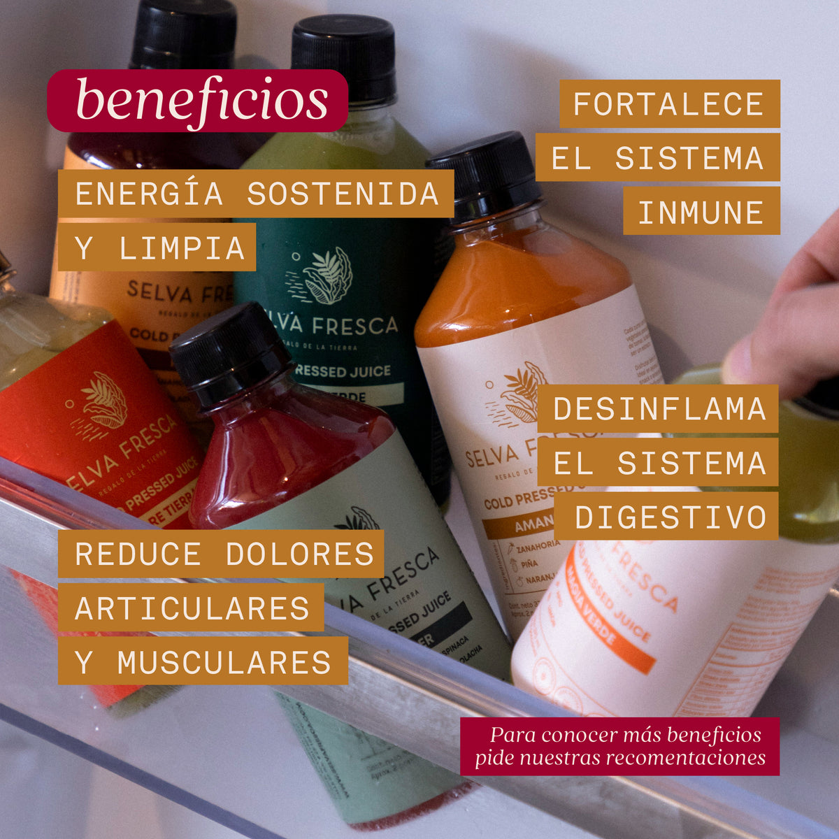 PACK ANTIINFLAMATORIO
