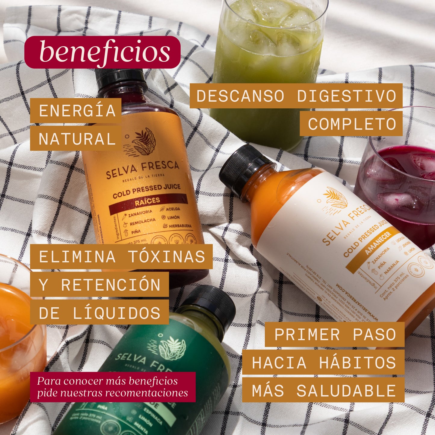 PLAN DETOX PRINCIPIANTES