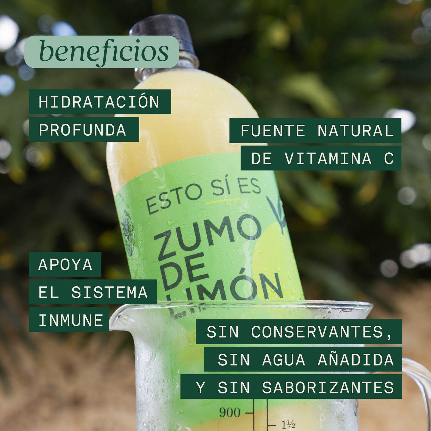ESTO SÍ ES ZUMO DE LIMÓN